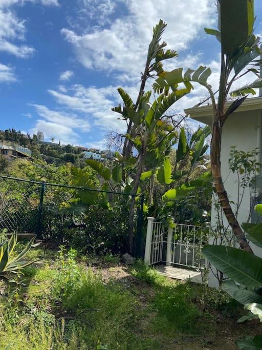 Stunning Hollywood Midcentury Modern-views-best Location! Ferienhaus Los Angeles